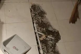 平桥卫生间漏水检测电话